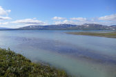 Bieskeh�vrre 38