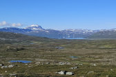 Bieskeh�vrre 39