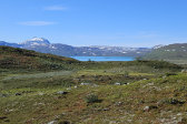 Bieskeh�vrre 40