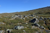 Muorannjunnje 1