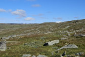 Muorannjunnje 2