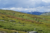 Nuortta S�vllo 6