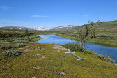 Varvvekj�hk� 13
