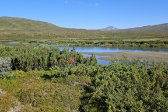 Varvvekj�hk� 14