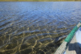 Canoe 13