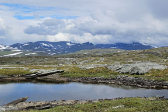 Fjelds 3