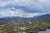 Fjelds 4