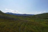 Fjelds 1