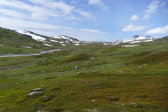 Fjelds 5