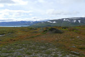 Fjelds 5