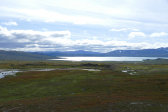 Fjelds 7
