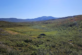 Fjelds 1