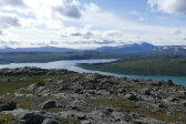 Fjelds 3