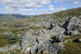 Fjelds 4