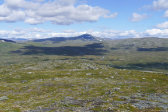 Fjelds 6