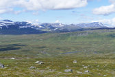 Fjelds 7