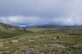 Fjelds 1