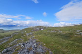 Fjelds 2