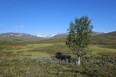 Massif 25