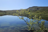 Osier 2