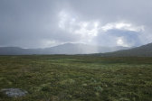Rain 1