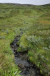 Stream 1