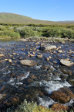 Stream 20
