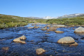 Stream 22