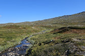 Stream 26