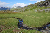 Stream 2