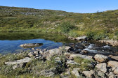 Stream 30