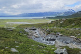Stream 3