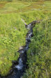 Stream 8