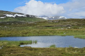 Tarn 2