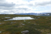 Tarn 4