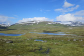 Tarns 1
