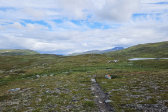 Trail 1