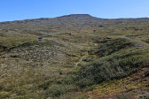 Trail 2