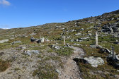 Trail 4