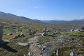 Trail 5