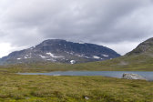 Skuogetj�hkk� 6