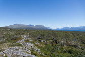 Fjelds 1