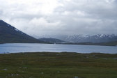 Fjelds 2