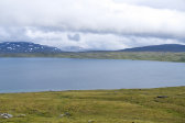 Fjelds 5