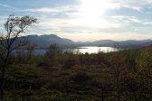 Fjelds 6