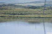 Loon 2