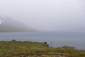 Rain 11