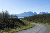 Road 9