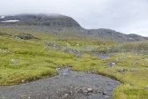 Stream 11