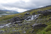 Stream 12